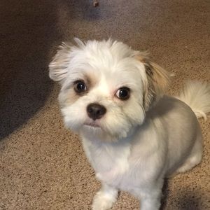 Meet your Posher, Tammy